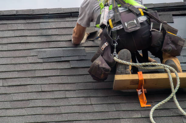 Emergency Roof Repair Services in Waverly, OH